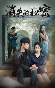 消失的秘密全集