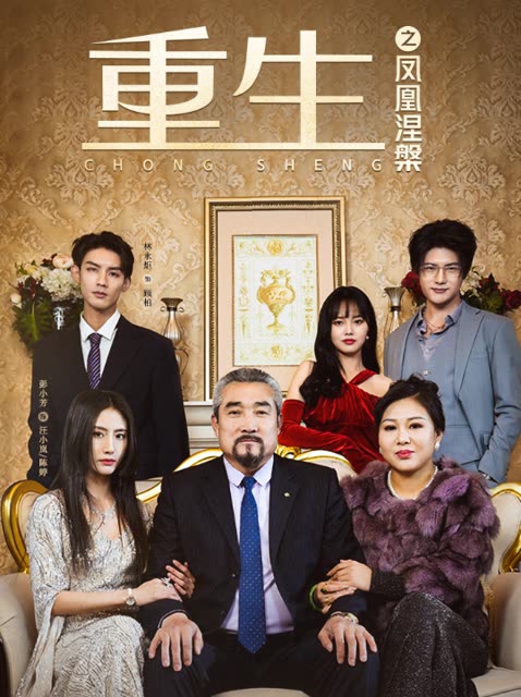 重生之凤凰涅槃全集