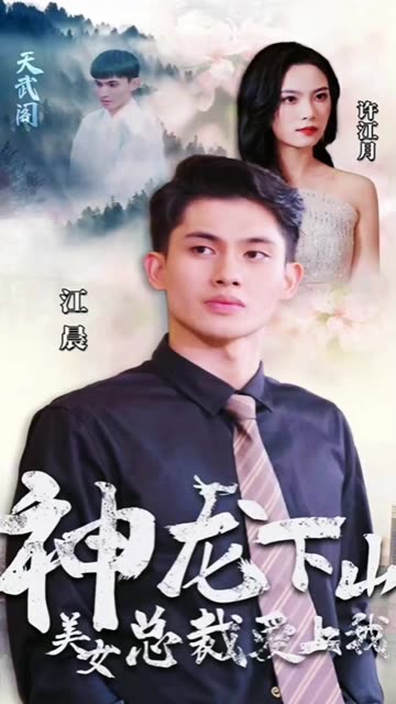 神龙下山，美女总裁爱上我全集