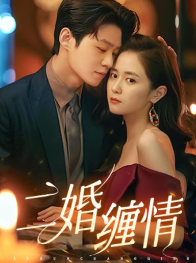 二婚缠情全集