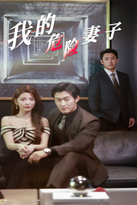 我的危险妻子短剧全集