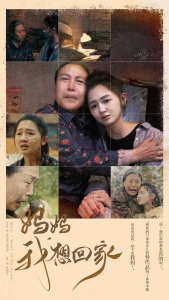 我想回家短剧全集