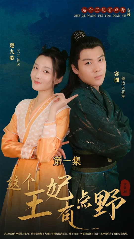 这个王妃有点野全集