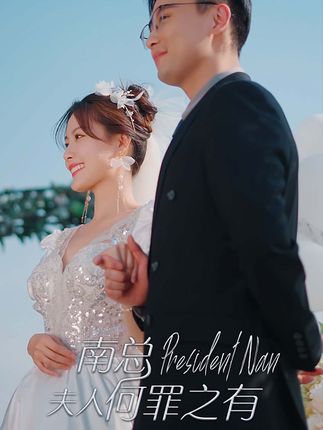 南总，夫人何罪之有全集