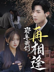 那年我们再相逢全集