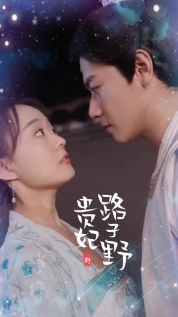 贵妃路子野全集