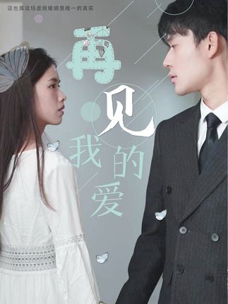 再见，我的爱全集