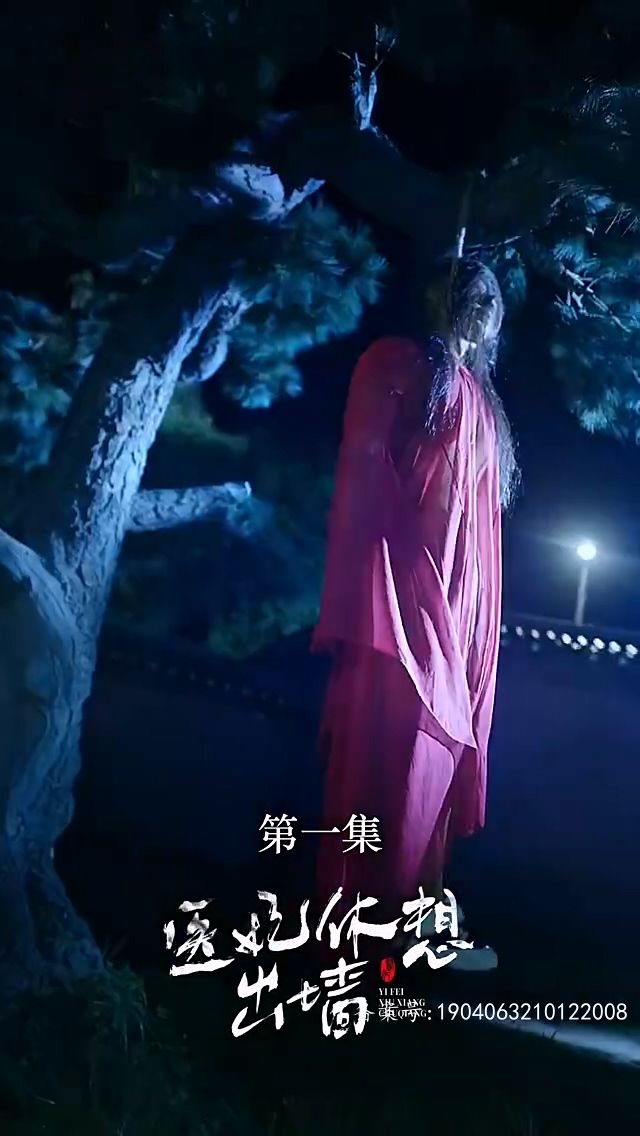 医妃休想出墙全集