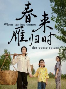 春来雁归时全集