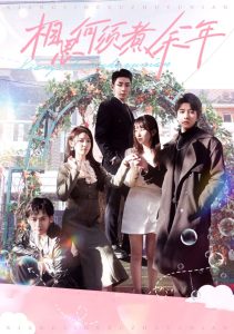 相思何须煮余年全集