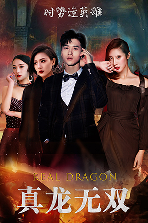 真龙无双全集