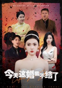 今天这婚我不结了全集