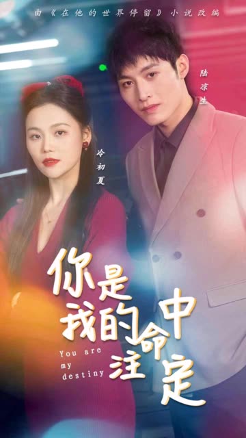 你是我的命中注定全集