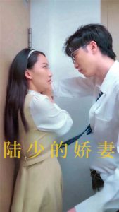 陆少的娇妻全集