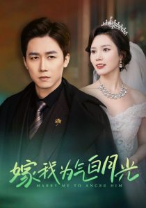 嫁我为气白月光全集