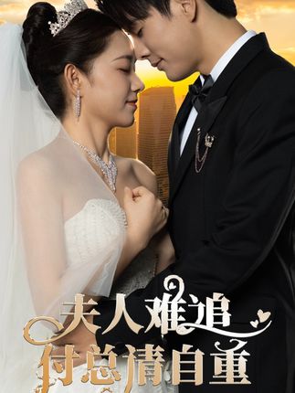 夫人难追，付总请自重全集