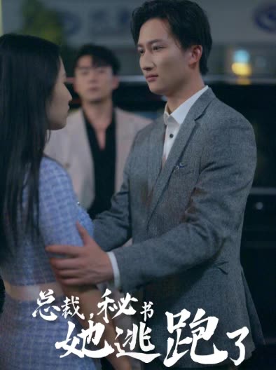 总裁，秘书她逃跑了全集