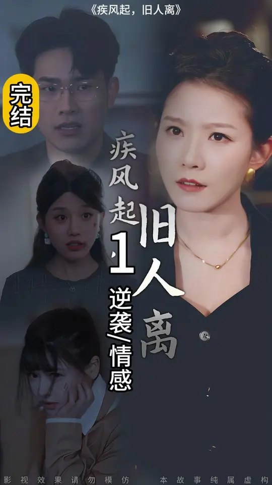 疾风起旧人离全集