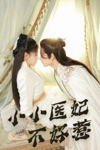 小小医妃不好惹全集