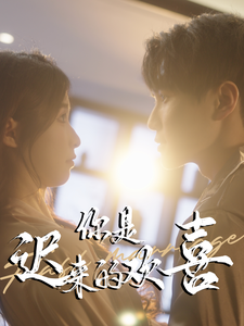 你是迟来的欢喜78集全集