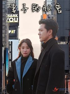 妻子的秘密短剧全集