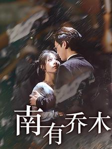 南有乔木短剧全集