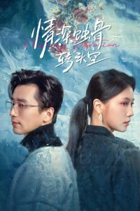 情深蚀骨转头空全集