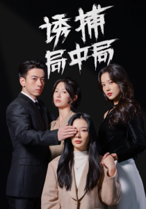 诱捕局中局全集