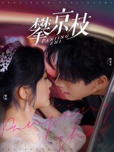 攀京枝80集全集