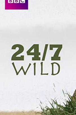 全天候野生动物追踪全集