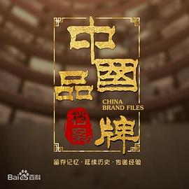 中国品牌档案全集
