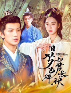 旧梦已碎，与君长诀＆终是深情错付君全集