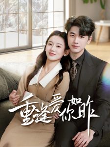 重逢爱你如昨全集