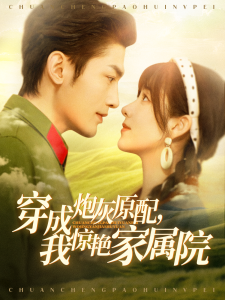 穿成炮灰原配，我惊艳家属院全集