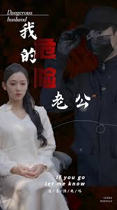 我的危险老公全集