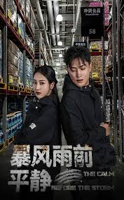 暴风雨前的平静全集