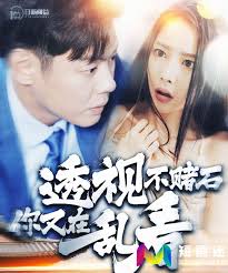 透视不赌石你又在乱看全集