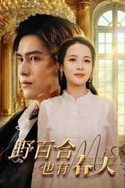 野百合也有春天全集