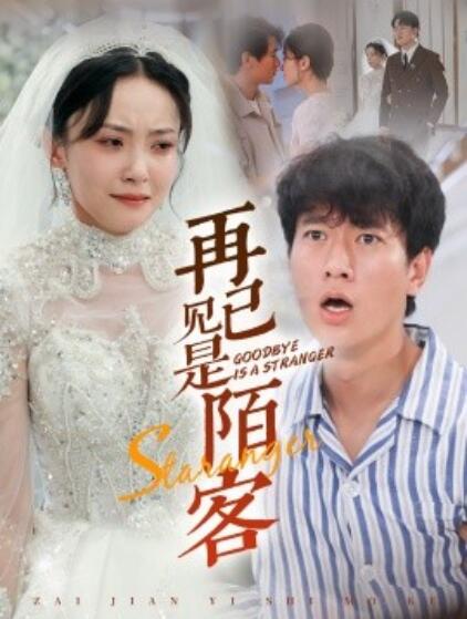 再见已是陌客 归来的星光全集