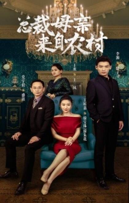 总裁母亲来自农村全集