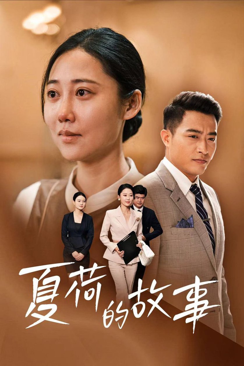 夏荷的故事全集