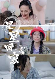 星星回家全集