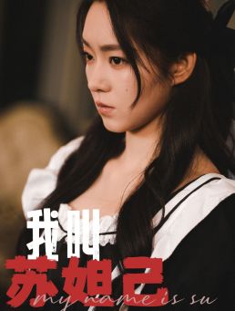 我叫苏妲己全集