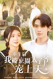 重生后我被京圈太子爷宠上天全集