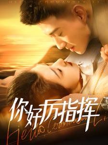 你好厉指挥全集