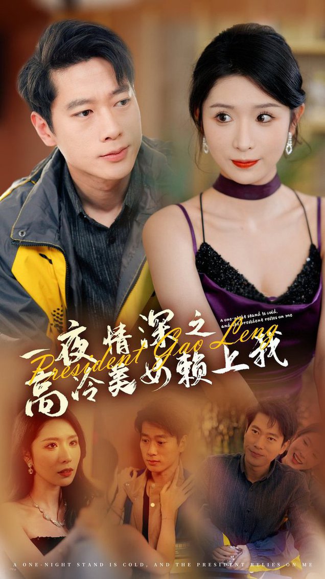 一夜情深之高冷美女赖上我全集