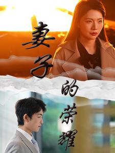 妻子的荣耀全集