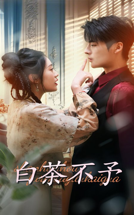 白茶不予全集
