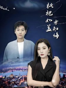 枇杷如盖方知悔全集