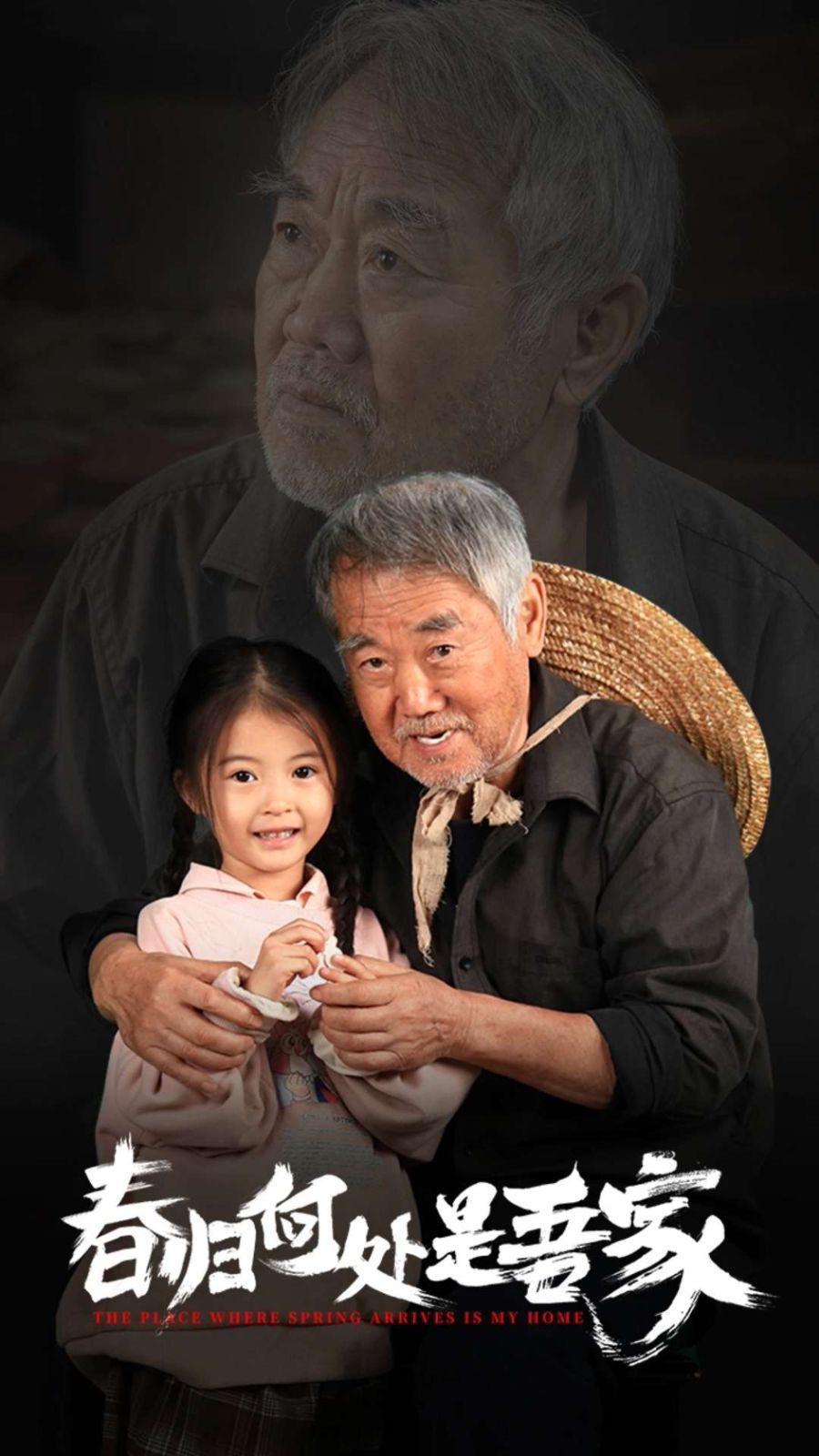 春归何处是吾家全集